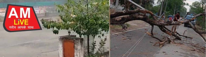 आंधी-तूफान से प्रभावित बिजली व्यवस्था बहाल करने को ऊर्जा मंत्री ने दिए सख्त निर्देश