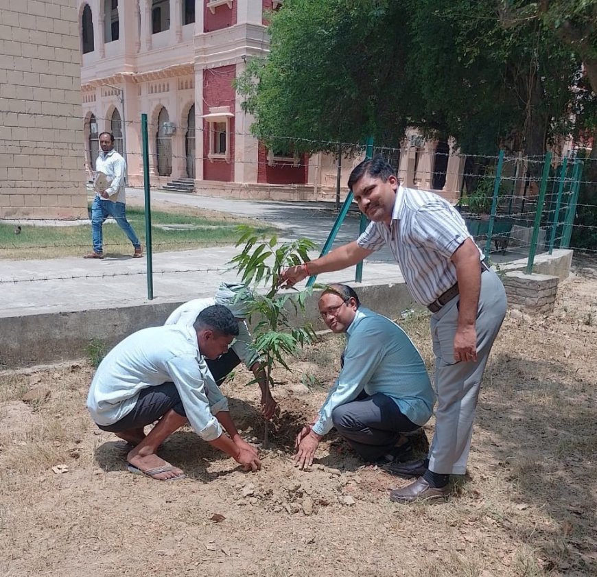 इलाहाबाद विश्वविद्यालय में पर्यावरण दिवस पर पौधरोपण, प्लास्टिक फ्री कैंपस का लिया संकल्प