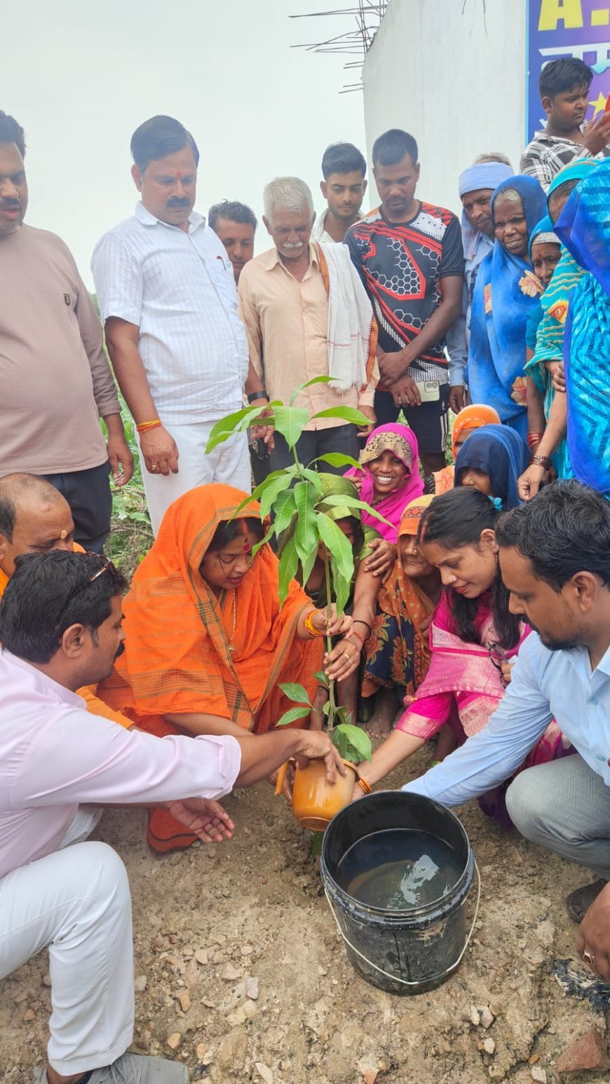 मन की बात सुनकर भाजपा जिलाध्यक्ष ने किया वृक्षारोपण, श्यामा प्रसाद मुखर्जी को अर्पित की श्रद्धांजलि