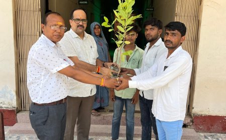 हरियाली की राह: शिक्षा के साथ पर्यावरण को भी दे रहे संजीवनी