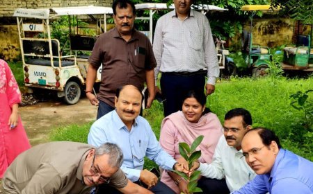 वन महोत्सव पर आरटीओ अधिकारियों ने किया वृक्षारोपण, पर्यावरण सुरक्षा का दिया संदेश