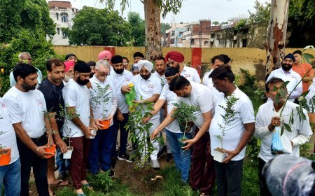 माय ड्रीम कानपुर ग्रीन संस्था का वृक्षारोपण अभियान, 50,000 से अधिक पौधों का वितरण