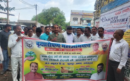 विधायक दीपक पटेल ने अमृत सरोवर में किया वृक्षारोपण, पर्यावरण संरक्षण का दिया संदेश