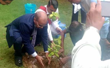 जनपद न्यायालय में "एक पेड़ मां के नाम" अभियान के तहत न्यायाधीशों ने किया वृक्षारोपण
