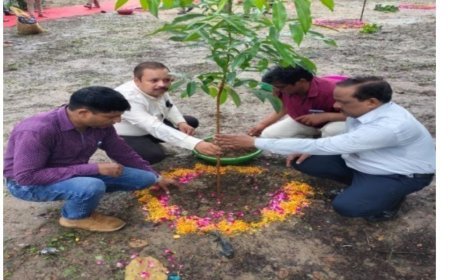 उद्यान विभाग ने विभिन्न स्थलों पर कराया फलदार पौधों का रोपण