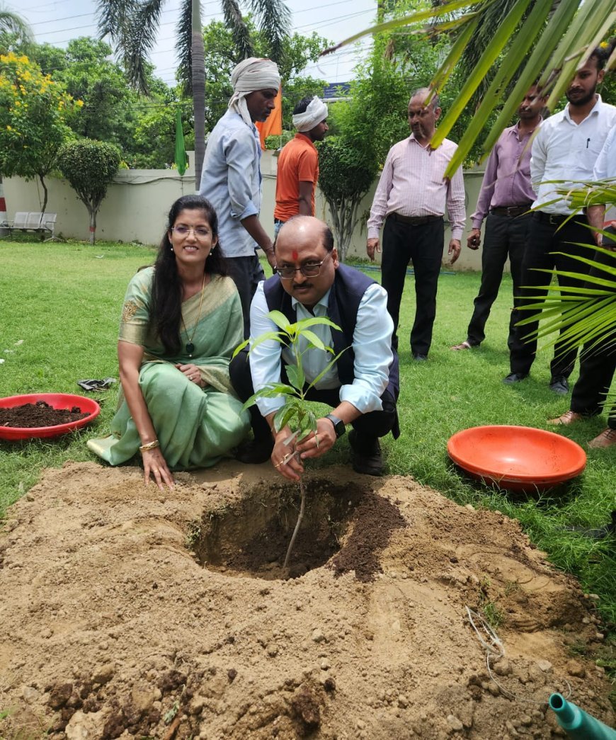 एसकेडी ग्रुप ने ‘विसडम वीक’ में हरियाली की अलख जगाई, वृक्षारोपण से मनाया निदेशक का जन्मदिन