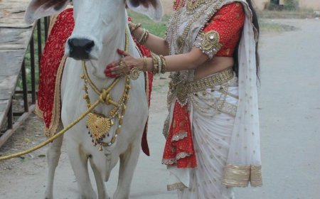 '15 साल का इंतजार रंग लाया': हरलीन कौर रेखी ने 'कामधेनु गौमाता' से पहली लीड भूमिका पर खुलकर बात की