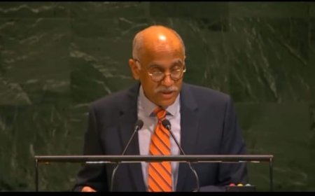 भारत की शांति स्थापना के प्रति प्रतिबद्धता: यूएन में राजदूत पी. हरीश ने रखी मजबूत राय