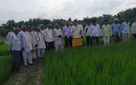 नैनो उर्वरक से सस्ती और टिकाऊ खेती संभव: इफको