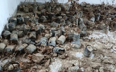 खानपुर हुसैनाबाद में वृक्षारोपण अभियान की पोल खुली, जिम्मेदार ही लगा रहे है अभियान को पलीता