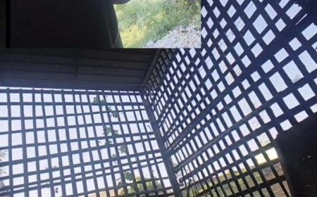 प्रातः 6:00 बजे से धड़ल्ले से बिकती है देसी शराब 