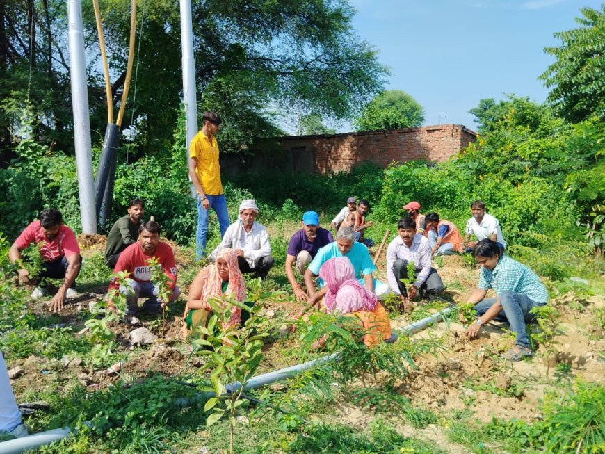 उत्तर मध्य रेलवे  में स्वच्छता अभियान का आयोजन