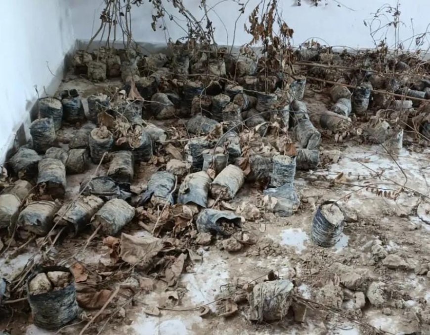 खानपुर हुसैनाबाद में वृक्षारोपण अभियान की पोल खुली, जिम्मेदार ही लगा रहे है अभियान को पलीता