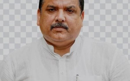 रोज़गार और सामाजिक न्याय के लिए आप निकालेगी पदयात्रा: संजय सिंह