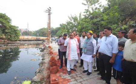 सांसद ने छठ पूजा को लेकर नहर का किया निरीक्षण