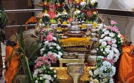 श्री साई धाम मंदिर में 18 वा अन्नकूट महोत्सव बड़े धूमधाम के साथ मनाया गया