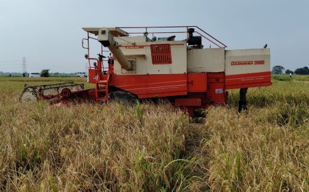 पराली जलाने की रोकथाम में सख्ती! CDO ने बिना SMS वाली कंबाइन मशीन सीज कराई