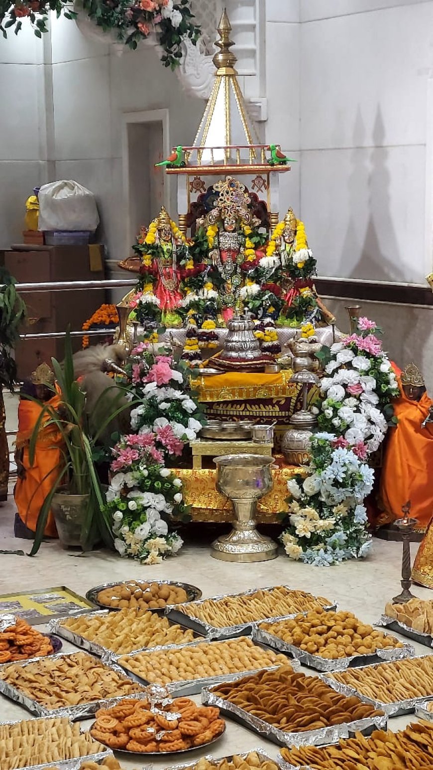 श्री साई धाम मंदिर में 18 वा अन्नकूट महोत्सव बड़े धूमधाम के साथ मनाया गया