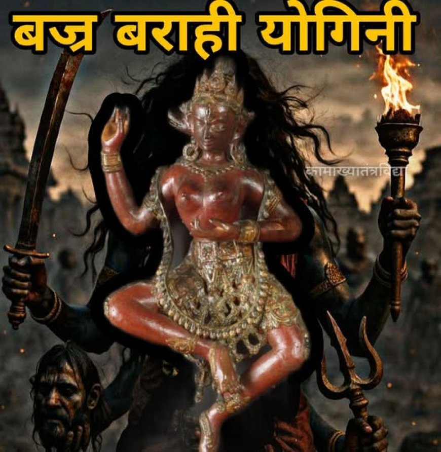 वज्रवाराही योगिनी: कृपा और संहार की उग्र देवी, बौद्ध तंत्रवाद की उत्पत्ति का केंद्र