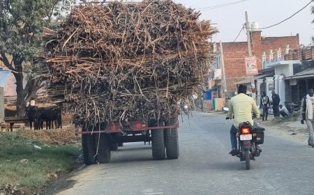 चीनी मिल बनी मौत का हाईवे: ओवरलोड ट्रेलरों का आतंक, क्या जागेगा प्रशासन?