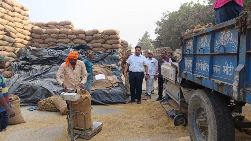 जिलाधिकारी की बड़ी कार्रवाई: औचक निरीक्षण में अनुपस्थित धान क्रय केंद्र प्रभारी का वेतन रुका