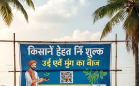 अम्बेडकर नगर: गन्ना किसानों के लिए खुशखबरी, उर्द और मूंग के फ्री बीज हेतु आवेदन शुरू