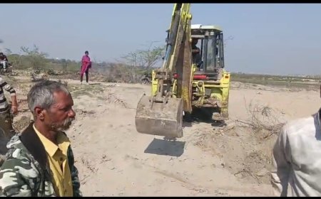 मथुरा के जंगलों पर 'माफिया' का आरा: धौरेरा में उजड़ रहे वन्यजीवों के आशियाने, कुंभकर्णी नींद में सोया वन विभाग