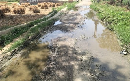 भरवारी नगर पालिका: कागजों में 'नगर', हकीकत में 'नरक' बना वार्ड नंबर 19