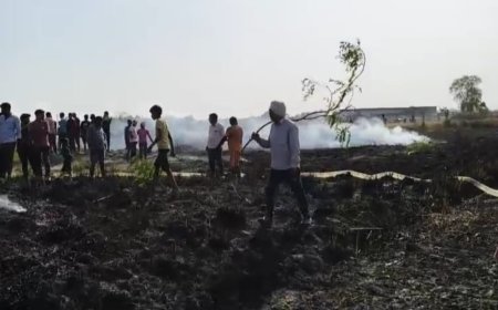 कुंडा में बिजली की चिंगारी ने बरपाया कहर: शॉर्ट सर्किट से 20 बीघा गेहूं की फसल जलकर राख