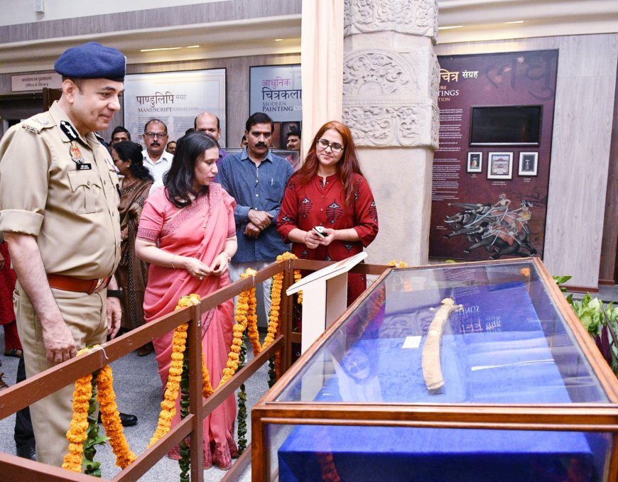 इलाहाबाद संग्रहालय में 'सोने की म्यान' का दीदार: दुर्लभ धरोहरों को जनता से जोड़ने के लिए 'एकल वस्तु प्रदर्शनी' का आगाज