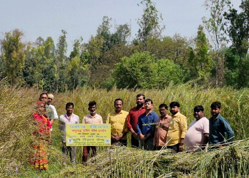 बंजर भूमि में लहलहाएगी पीली क्रांति: प्रतापगढ़ के किसानों के लिए वरदान बनी सरसों की 'CS-61' प्रजाति