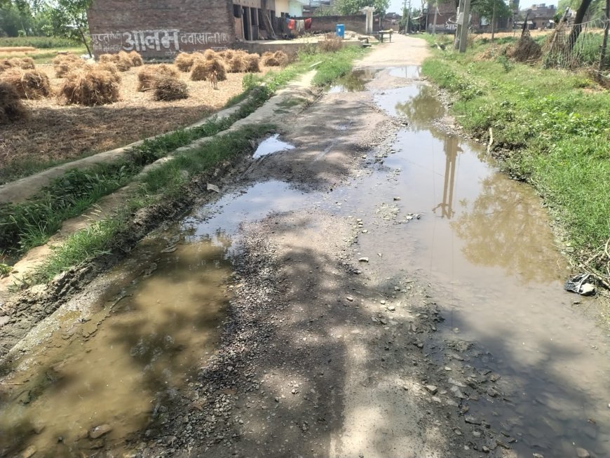 भरवारी नगर पालिका: कागजों में 'नगर', हकीकत में 'नरक' बना वार्ड नंबर 19