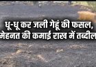 कौशांबी: भरवारी रेलवे स्टेशन के पास धू-धू कर जली गेहूं की फसल, मेहनत की कमाई राख में तब्दील