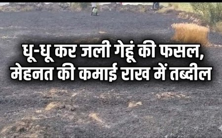 कौशांबी: भरवारी रेलवे स्टेशन के पास धू-धू कर जली गेहूं की फसल, मेहनत की कमाई राख में तब्दील