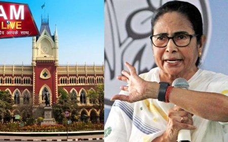 कलकत्ता हाईकोर्ट ने ममता सरकार को फटकार के साथ लगाया जुर्माना, सीमा सुरक्षा से जुड़े हलफनामे पर बरती थी ढिलाई