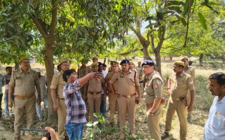 प्रतापगढ़: आम के बाग में पेड़ से लटका मिला युवती का शव, दुष्कर्म के बाद हत्या की आशंका से सनसनी