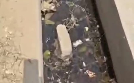 अम्बेडकरनगर: कागजों में 'स्वच्छ' पर हकीकत में 'बदहाल' हुई मगुराडिला पंचायत, सफाई के नाम पर लाखों की लूट का आरोप