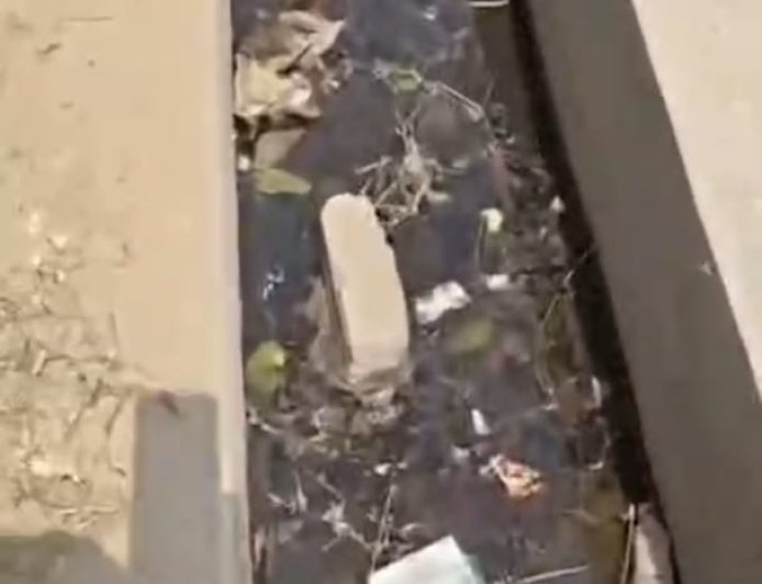 अम्बेडकरनगर: कागजों में 'स्वच्छ' पर हकीकत में 'बदहाल' हुई मगुराडिला पंचायत, सफाई के नाम पर लाखों की लूट का आरोप