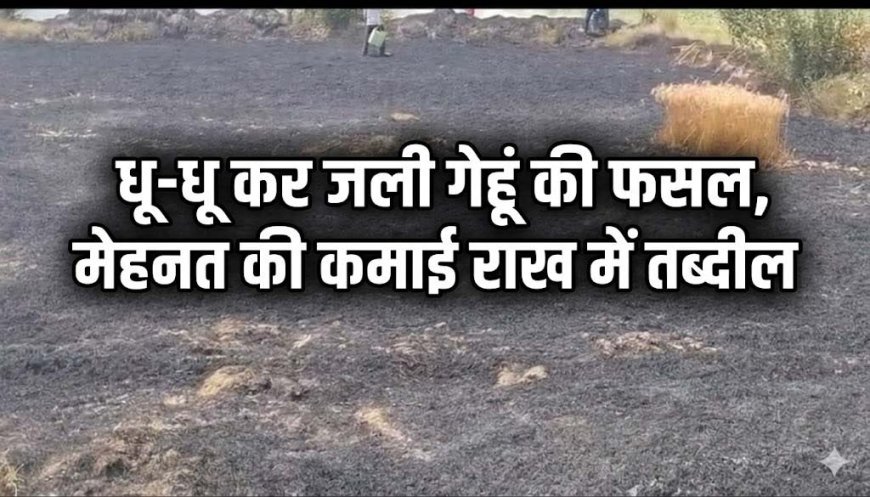 कौशांबी: भरवारी रेलवे स्टेशन के पास धू-धू कर जली गेहूं की फसल, मेहनत की कमाई राख में तब्दील