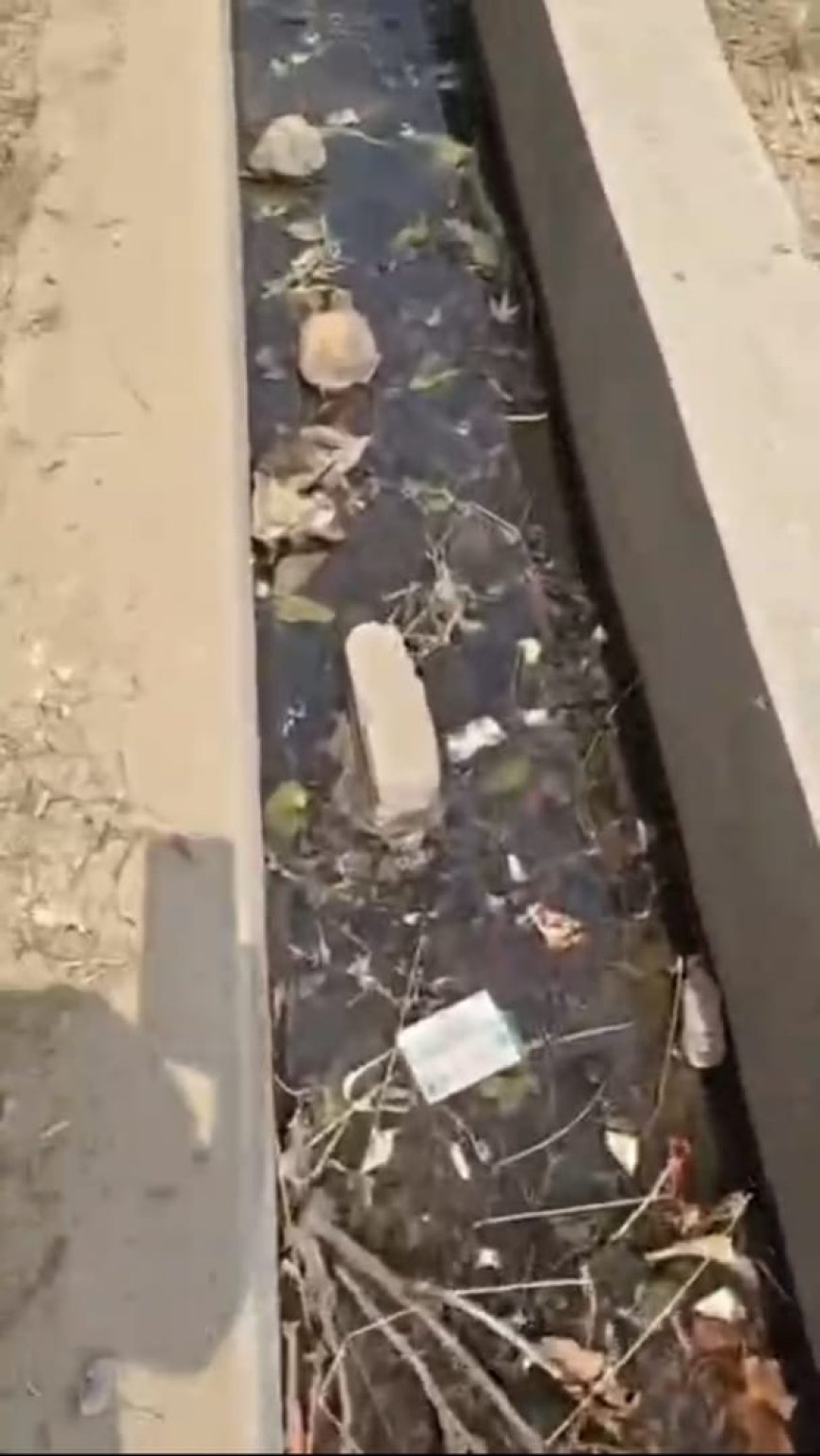 अम्बेडकरनगर: कागजों में 'स्वच्छ' पर हकीकत में 'बदहाल' हुई मगुराडिला पंचायत, सफाई के नाम पर लाखों की लूट का आरोप