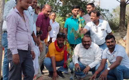 पर्यावरण का संदेश: सुजीत मिश्रा ने पिता की स्मृति में रोपे पौधे, मानिकपुर में गूंजी संरक्षण की गूंज