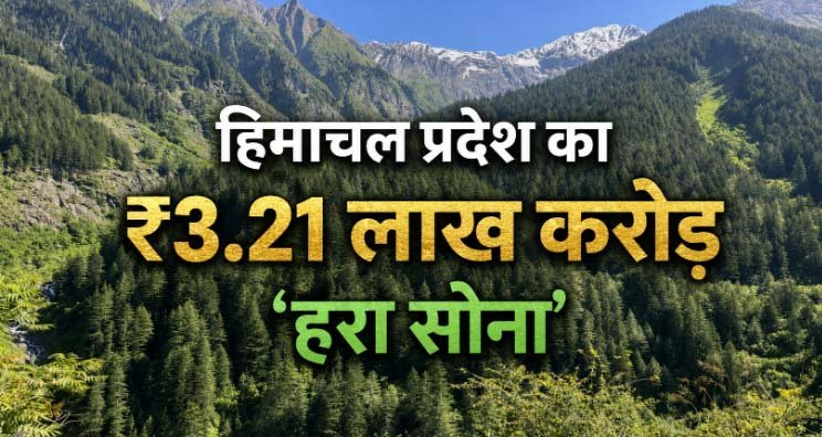 देवभूमि का ₹3.21 लाख करोड़ का 'हरा सोना': जहां कानून से ज्यादा 'देवताओं के खौफ' से महफूज हैं जंगल, जानिए कैसे देश को मिल रही है संजीवनी