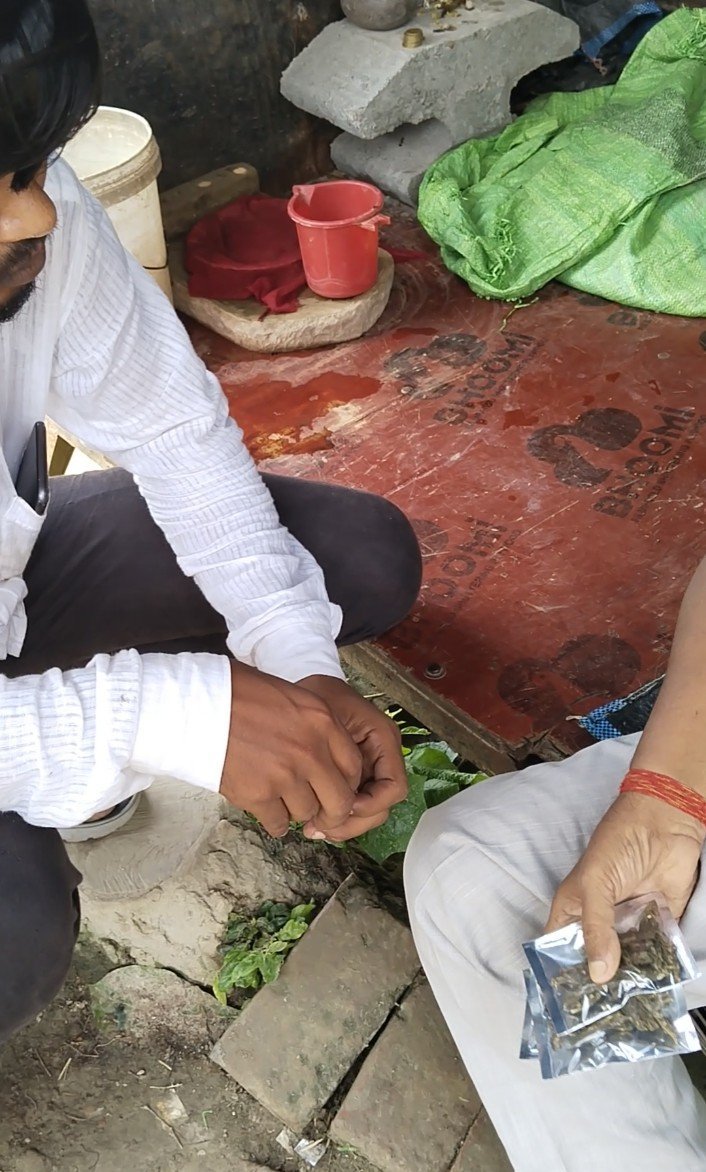 कौशाम्बी के कोखराज में अवैध गांजे का खुला खेल, मिलीभगत के गंभीर आरोप, जांच की मांग