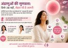 बढ़ती उम्र ही नहीं, आपकी ये आदतें भी तय करती हैं अंडाणुओं की गुणवत्ता: फर्टिलिटी एक्सपर्ट्स का खुलासा