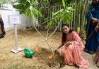महिला कल्याण समिति ने रेलवे ट्रैफिक कॉलोनी में किया पौधरोपण, हरित भविष्य का लिया संकल्प