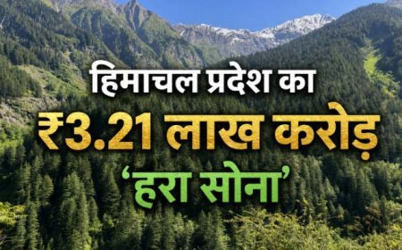देवभूमि का ₹3.21 लाख करोड़ का 'हरा सोना': जहां कानून से ज्यादा 'देवताओं के खौफ' से महफूज हैं जंगल, जानिए कैसे देश को मिल रही है संजीवनी