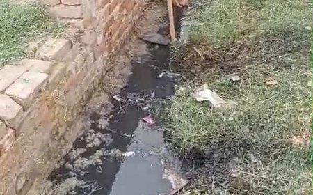 नांदेमई में महीनों से नदारद सफाईकर्मी, बरसात में घर डूबने के डर से ग्रामीणों ने खुद उठाई कुदाल-फावड़ा