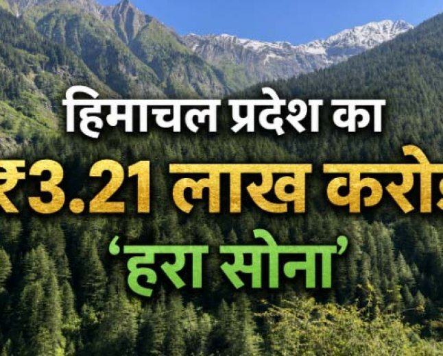 देवभूमि का ₹3.21 लाख करोड़ का 'हरा सोना': जहां कानून से ज्यादा 'देवताओं के खौफ' से महफूज हैं जंगल, जानिए कैसे देश को मिल रही है संजीवनी