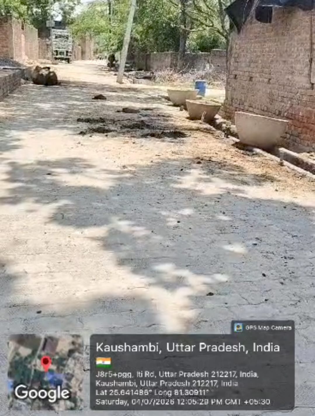 कौशाम्बी के सिराथू में सड़कों पर पशुओं का कब्जा, प्रशासन की चुप्पी पर उठे सवाल