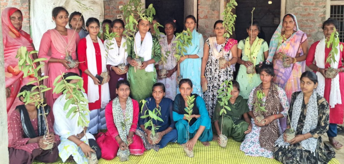 अम्बेडकरनगर: स्वच्छता पखवाड़ा के तहत बरहा में हुआ वृक्षारोपण, जन शिक्षण संस्थान ने बांटे फलदार पौधे